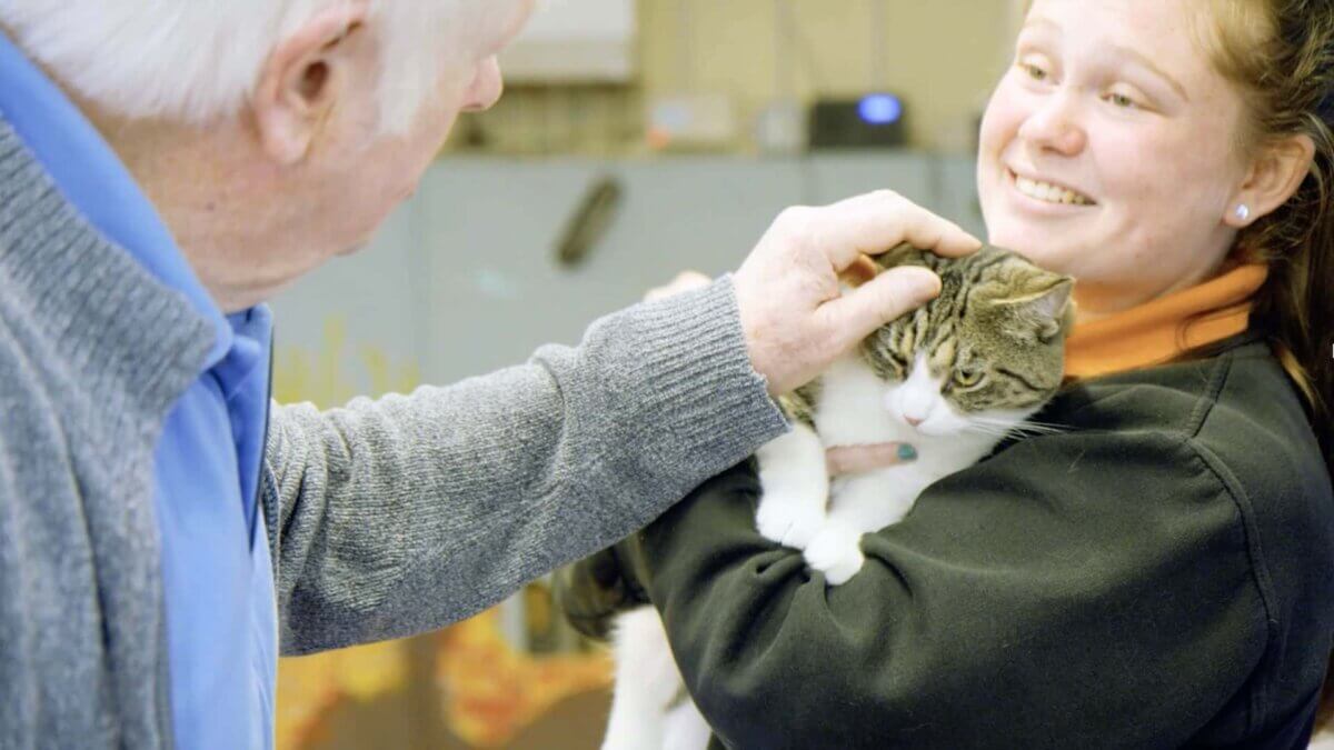 Wythall Animal Sanctuary - cattery