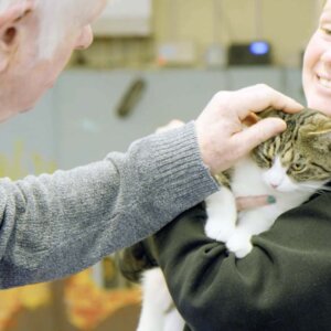 Wythall Animal Sanctuary - cattery